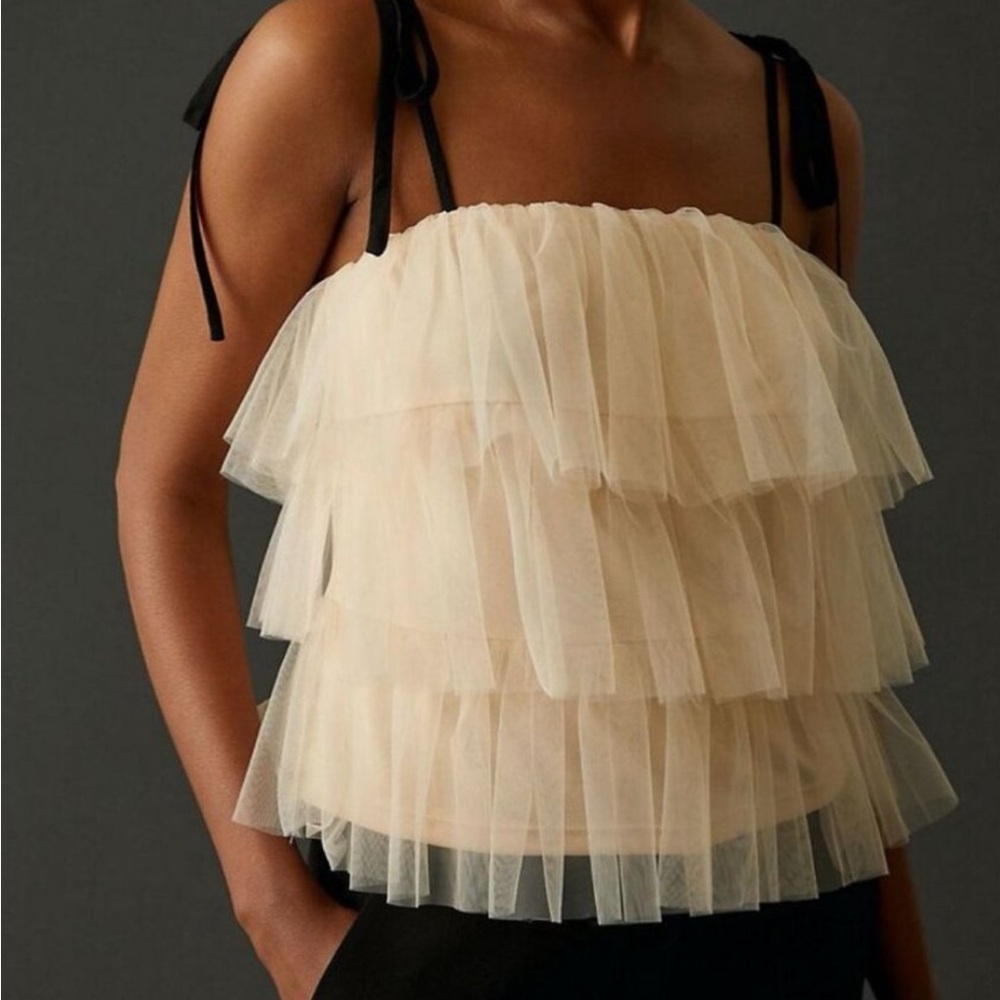 NWT Anthropologie Tulle top (Sundays in Brooklyn )